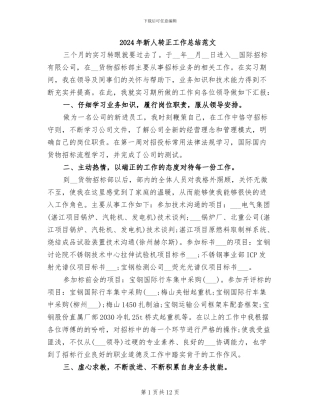 2024年新人转正工作总结范文