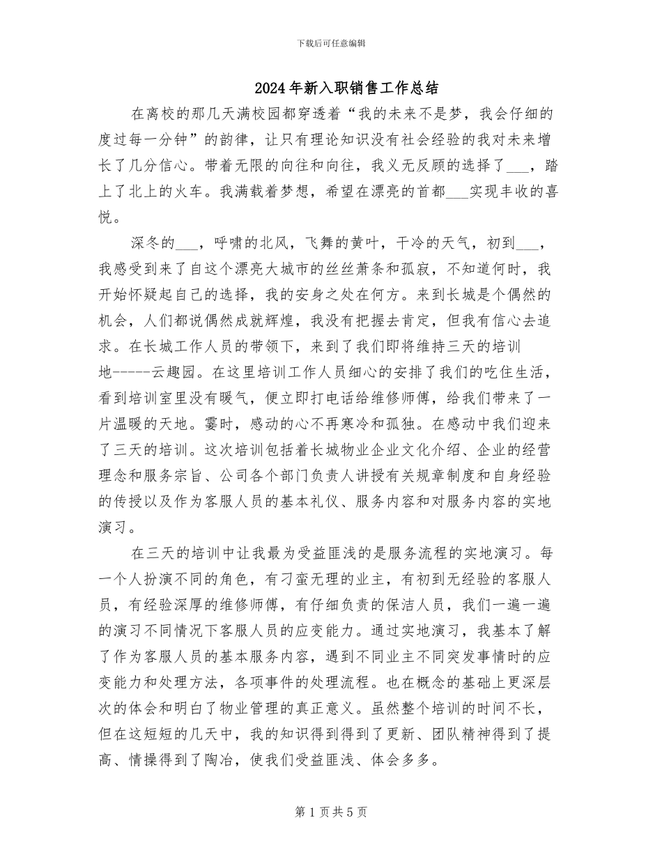 2024年新入职销售工作总结_第1页