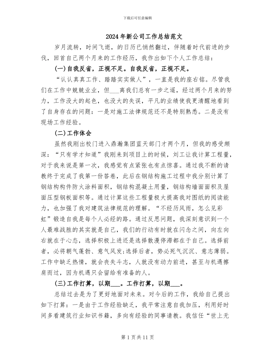 2024年新公司工作总结范文_第1页