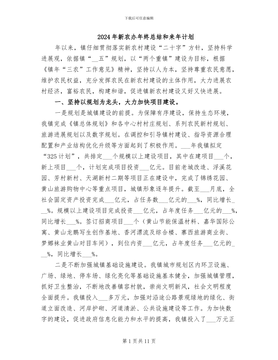 2024年新农办年终总结和来年计划_第1页