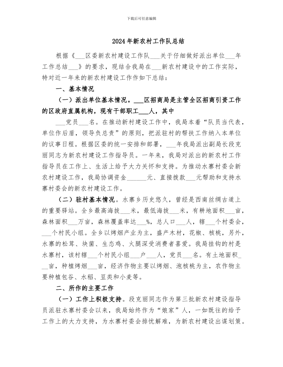 2024年新农村工作队总结_第1页