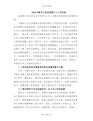 2024年新员工的试用期个人工作总结