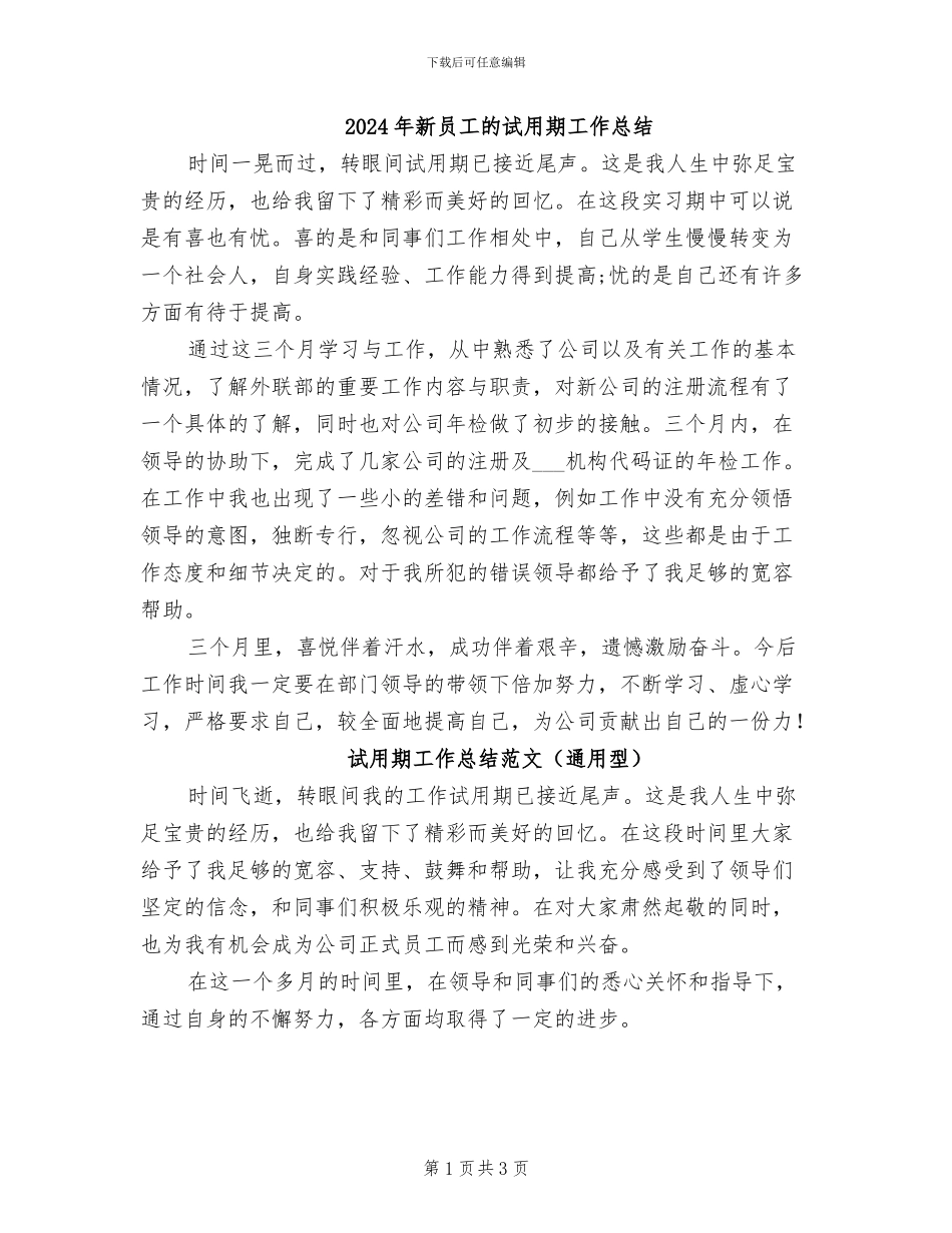 2024年新员工的试用期工作总结_第1页
