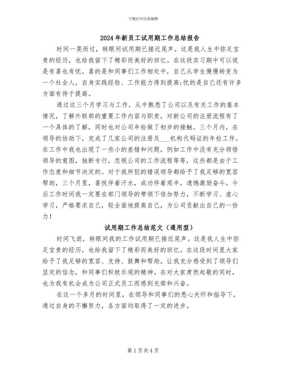 2024年新员工试用期工作总结报告_第1页
