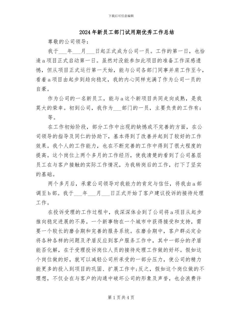 2024年新员工部门试用期优秀工作总结_第1页