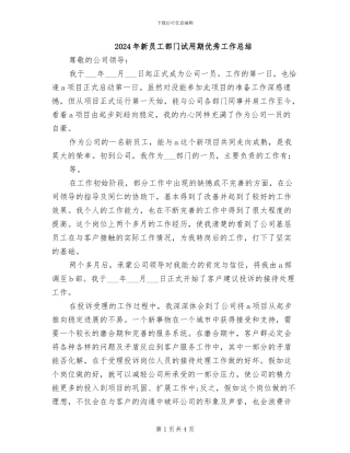 2024年新员工部门试用期优秀工作总结