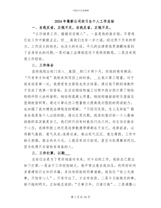 2024年最新公司实习生个人工作总结