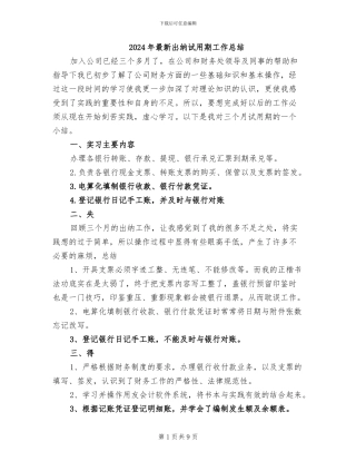 2024年最新出纳试用期工作总结