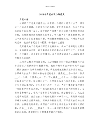 2024年月度会议小结范文