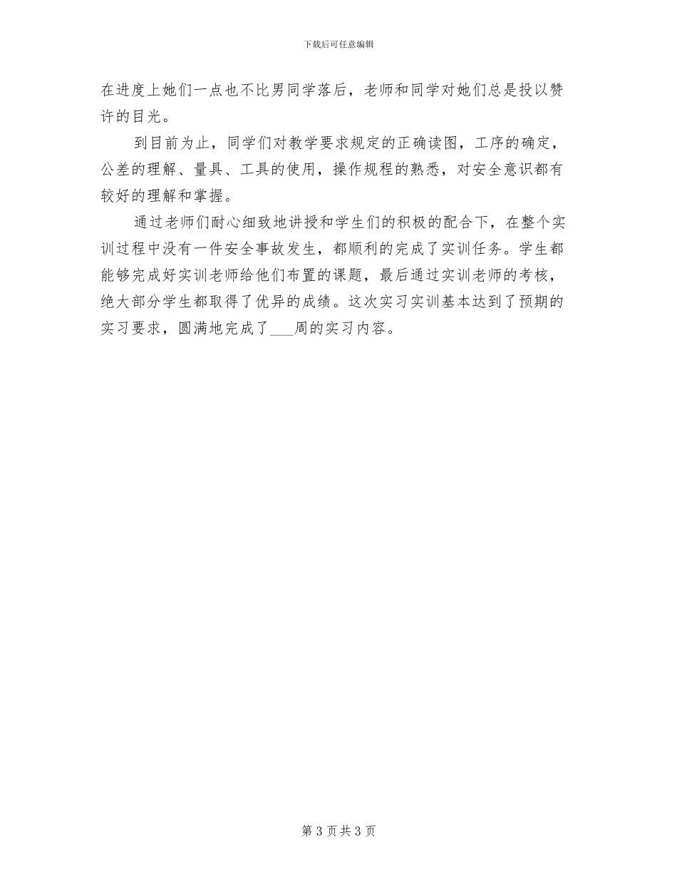 2024年机电一体化金工实习实训总结_第3页