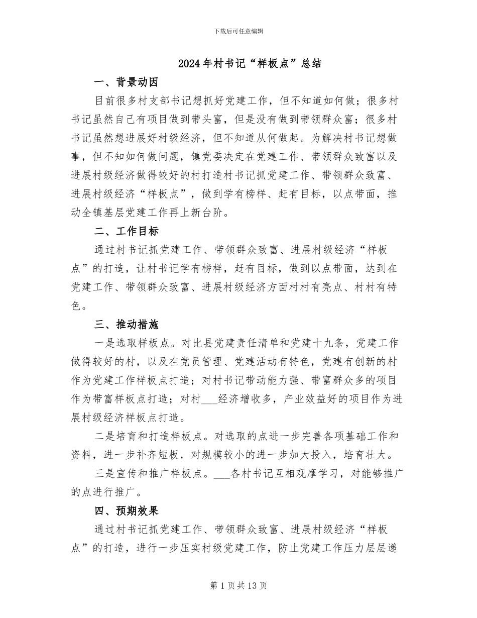 2024年村书记“样板点”总结_第1页