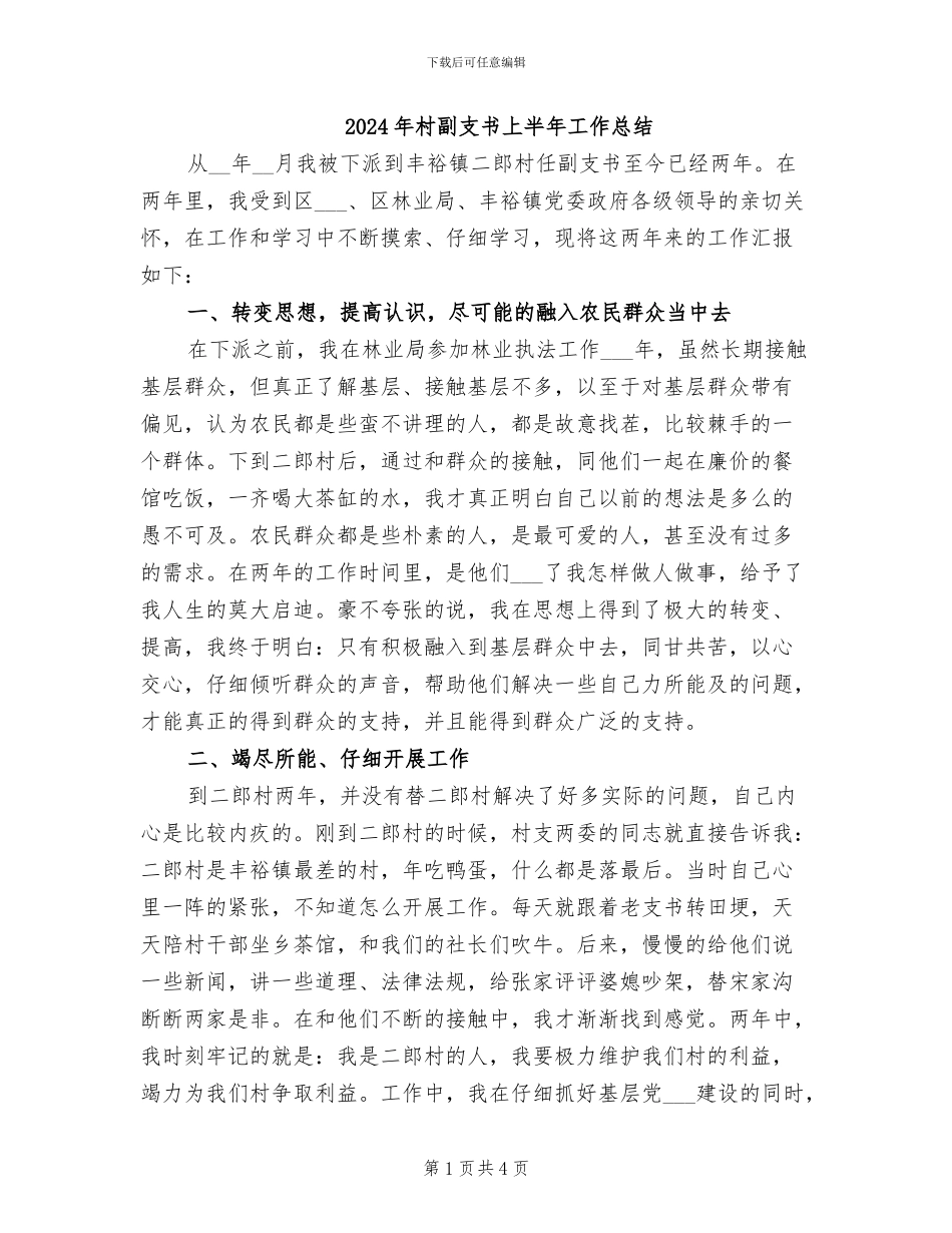2024年村副支书上半年工作总结_第1页