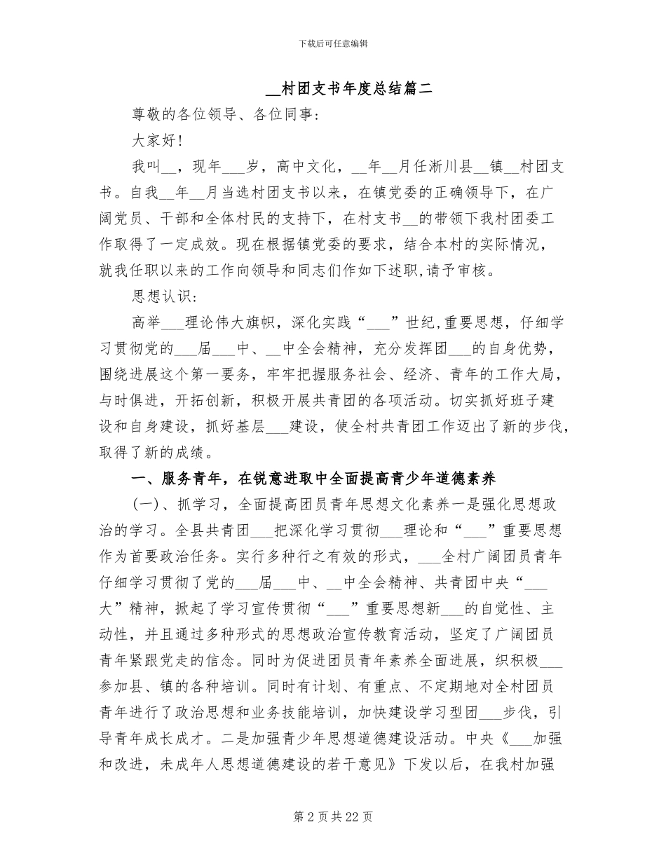 2024年村团支书年度总结_第2页