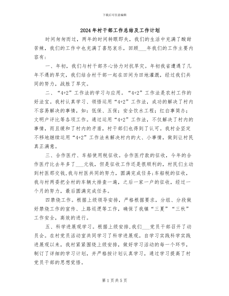 2024年村干部工作总结及工作计划_第1页