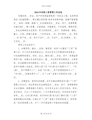 2024年村级三资管理工作总结