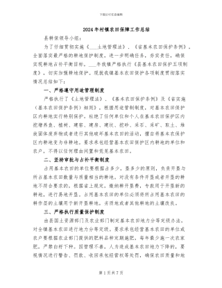 2024年村镇农田保障工作总结