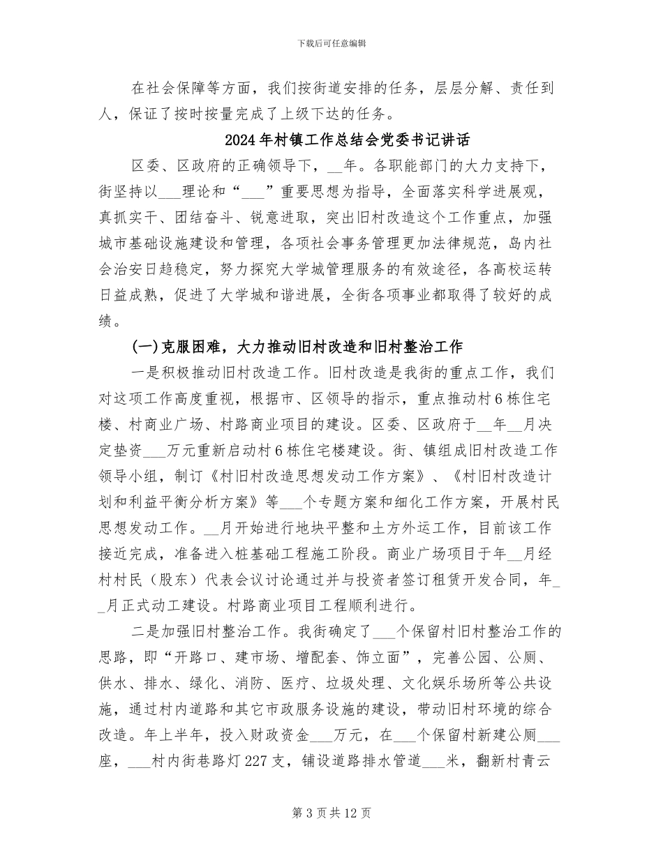 2024年村镇工作总结_第3页