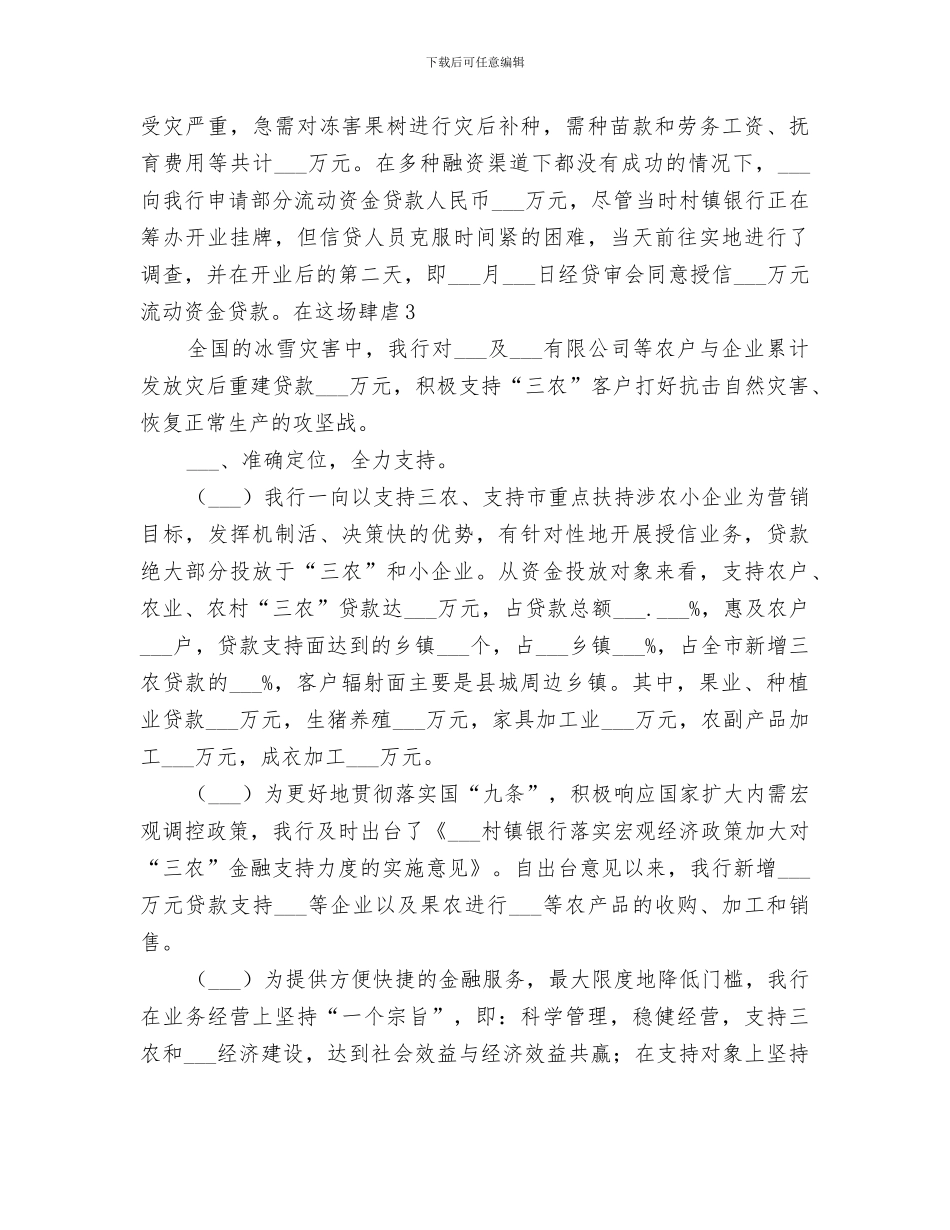 2024年村镇银行年度工作总结_第3页