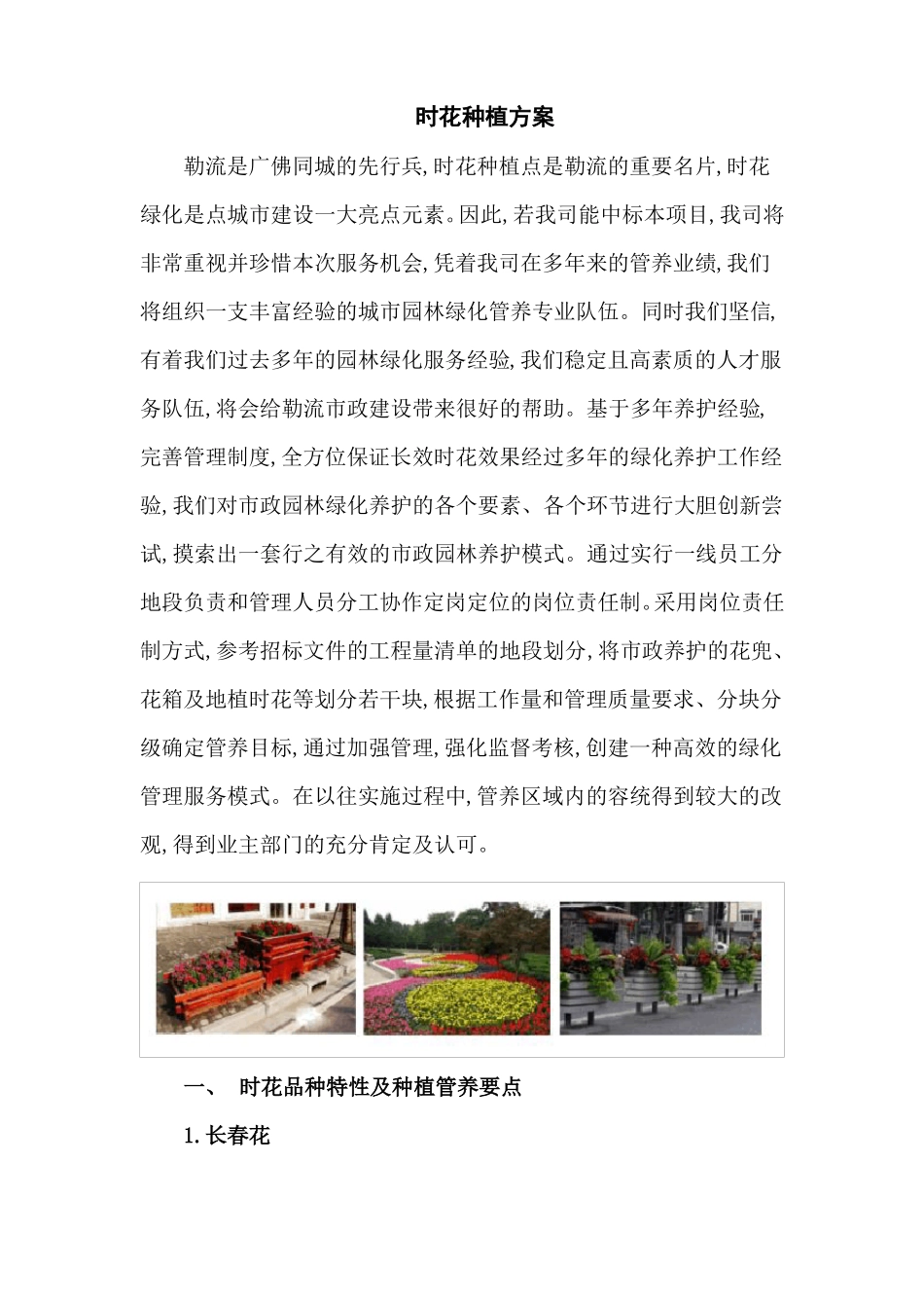 时花种植管养方案_第1页