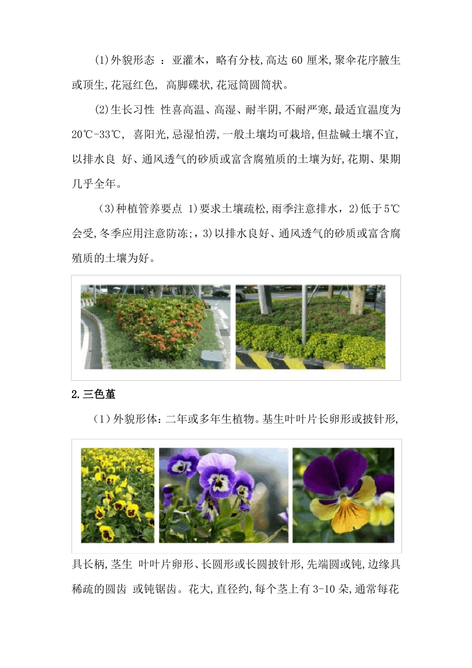时花种植管养方案_第2页