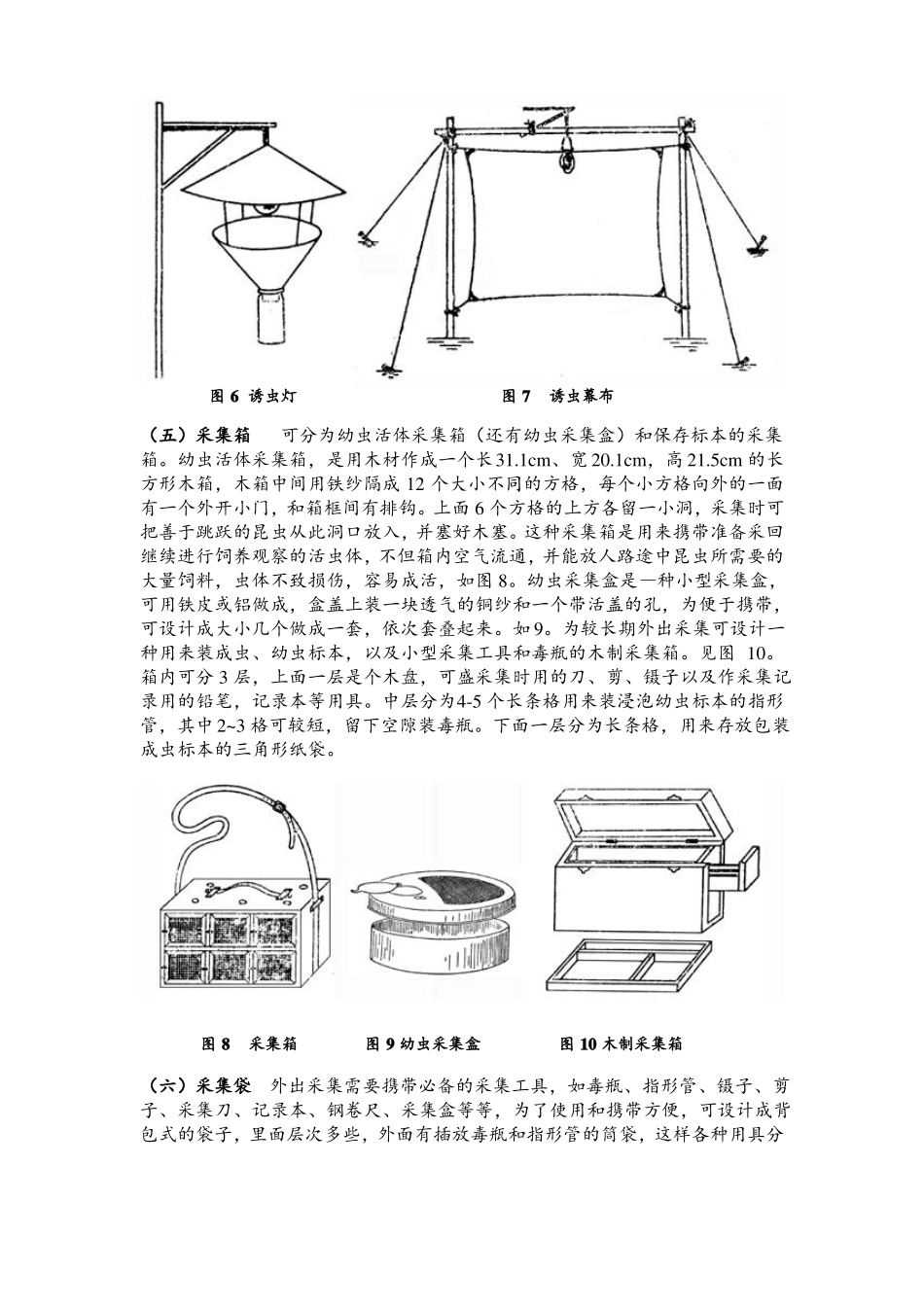 昆虫标本采集制作及保存方法最全_第3页