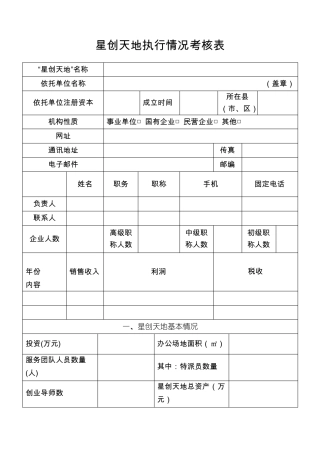 星创天地执行情况考核表