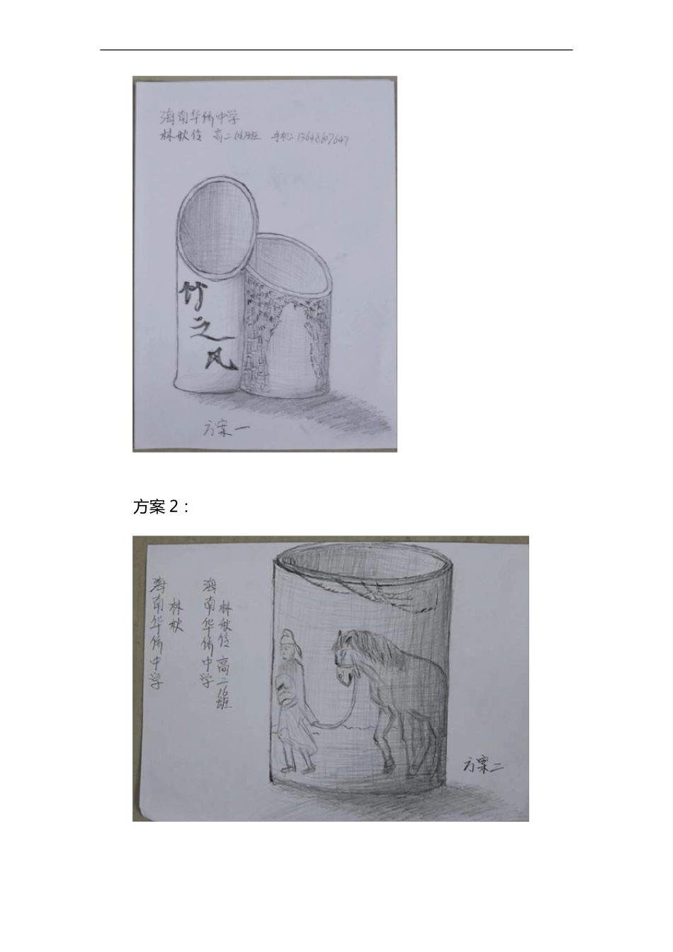 普通高中通用技术学生设计作品图文材料-高中技术作品_第3页