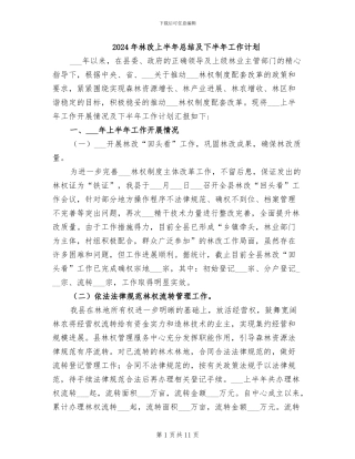 2024年林改上半年总结及下半年工作计划