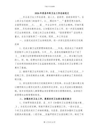 2024年某县年终卫生工作总结范文