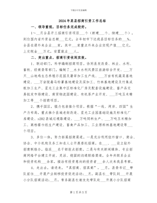 2024年某县招商引资工作总结