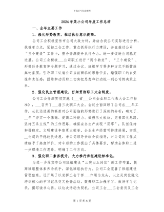 2024年某小公司年度工作总结