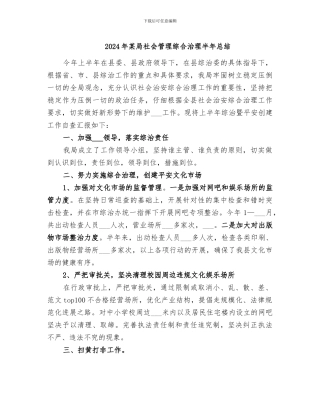 2024年某局社会管理综合治理半年总结