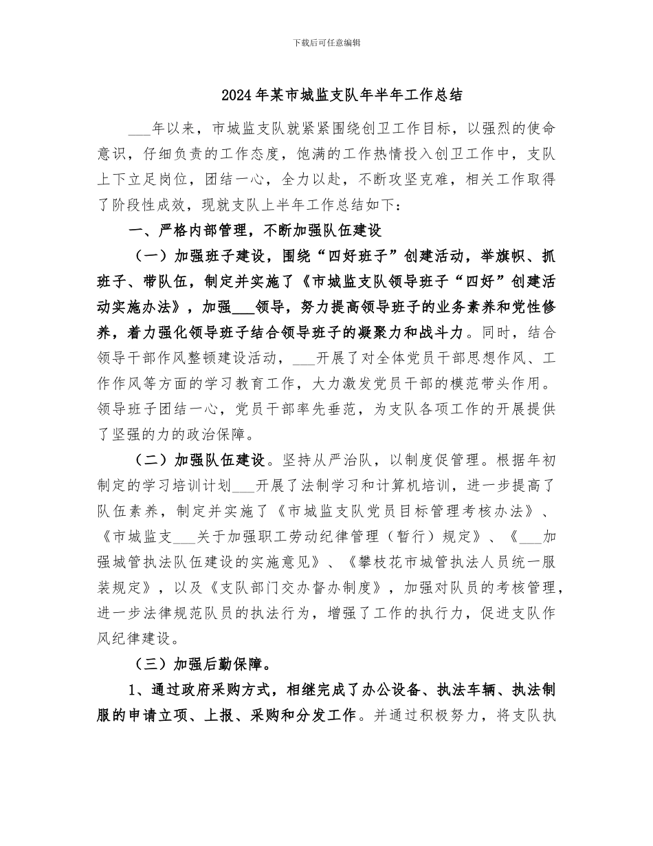 2024年某市城监支队年半年工作总结_第1页