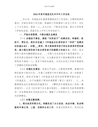 2024年某市城监支队年半年工作总结