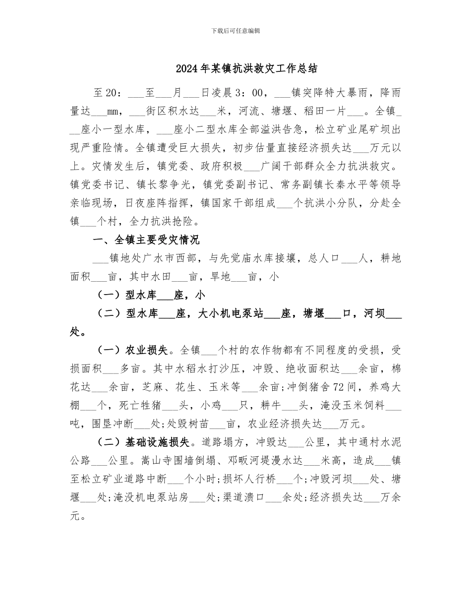 2024年某镇抗洪救灾工作总结_第1页