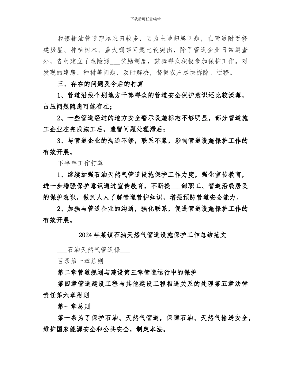 2024年某镇石油天然气管道设施保护工作总结_第2页