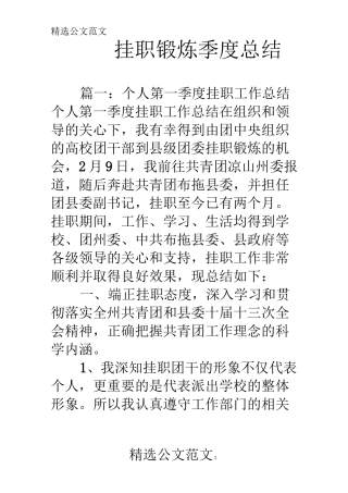 挂职锻炼季度总结