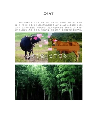 汉中方言和汉中文化