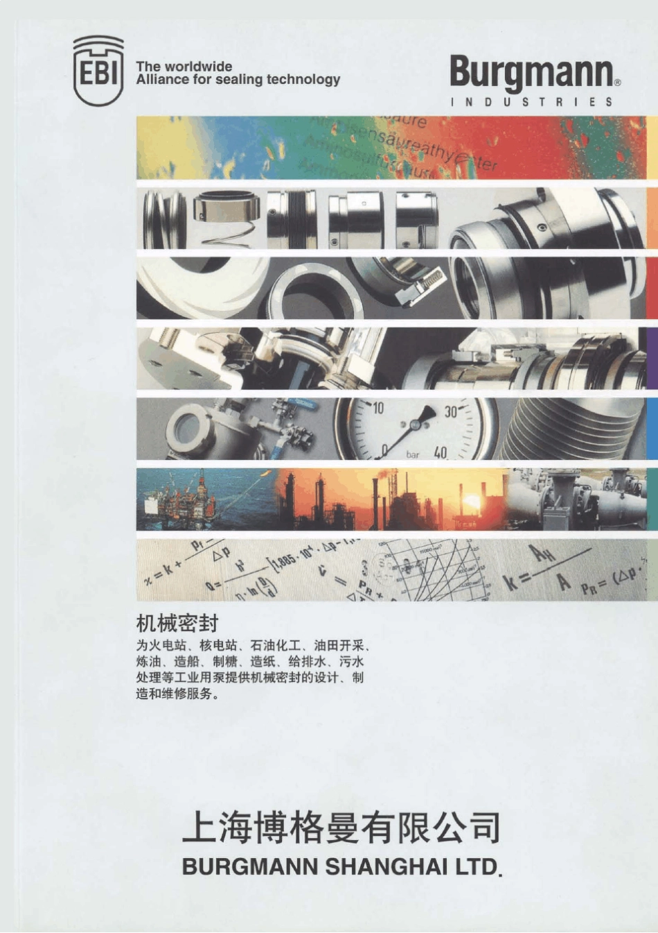 上海博格曼机械密封样本SZW_第1页