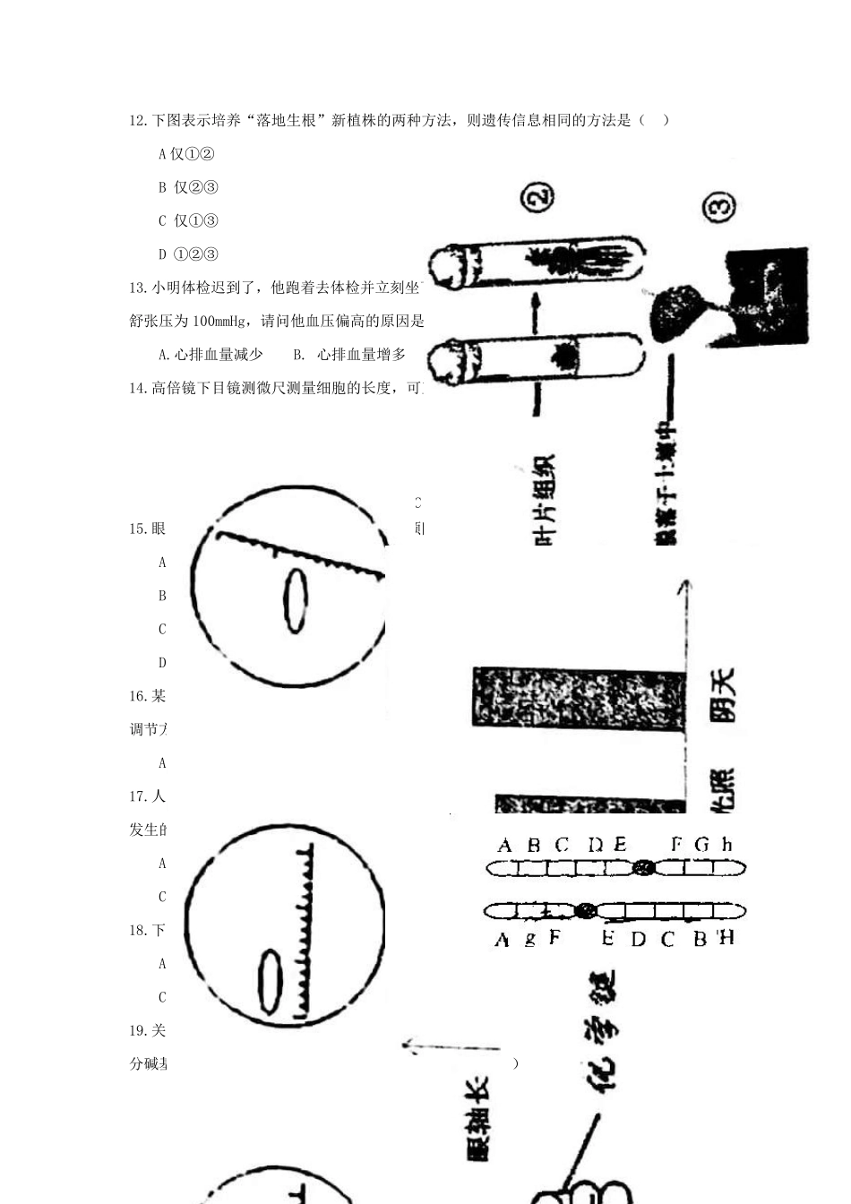 上海市2019年高中生物等级考试试卷_第3页