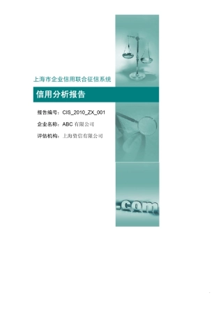 上海市企业信用联合征信系统信用分析报告