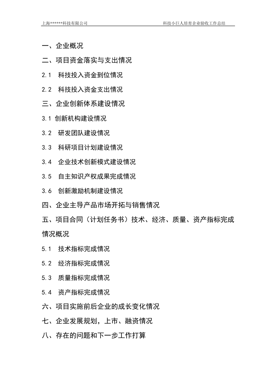 上海市培育型小巨人企业总结报告模版1_第2页