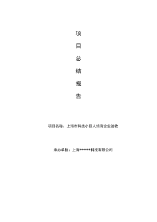 上海市培育型小巨人企业总结报告模版1