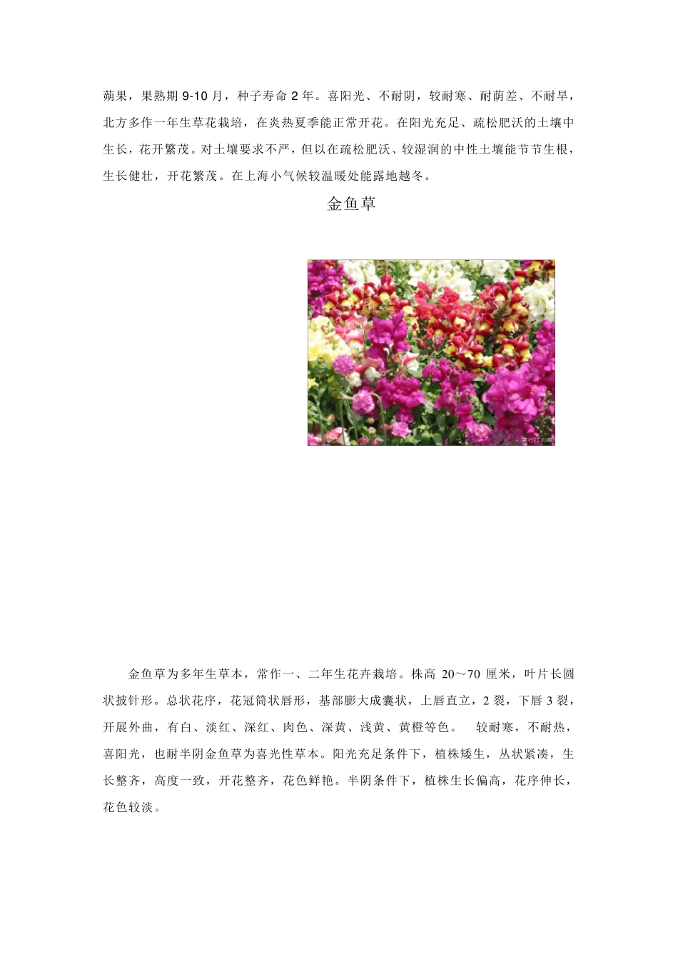 上海市最新绿化常用花卉_第3页