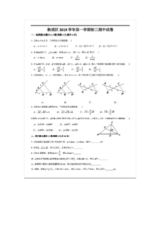 上海市杨浦区20192020学年九年级第一学期数学期中考试卷(扫描版有答案)