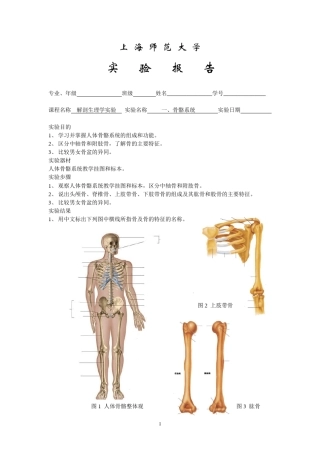 上海师范大学解剖生理学实验报告
