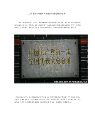 上海最有小资情调的地方新天地酒吧街