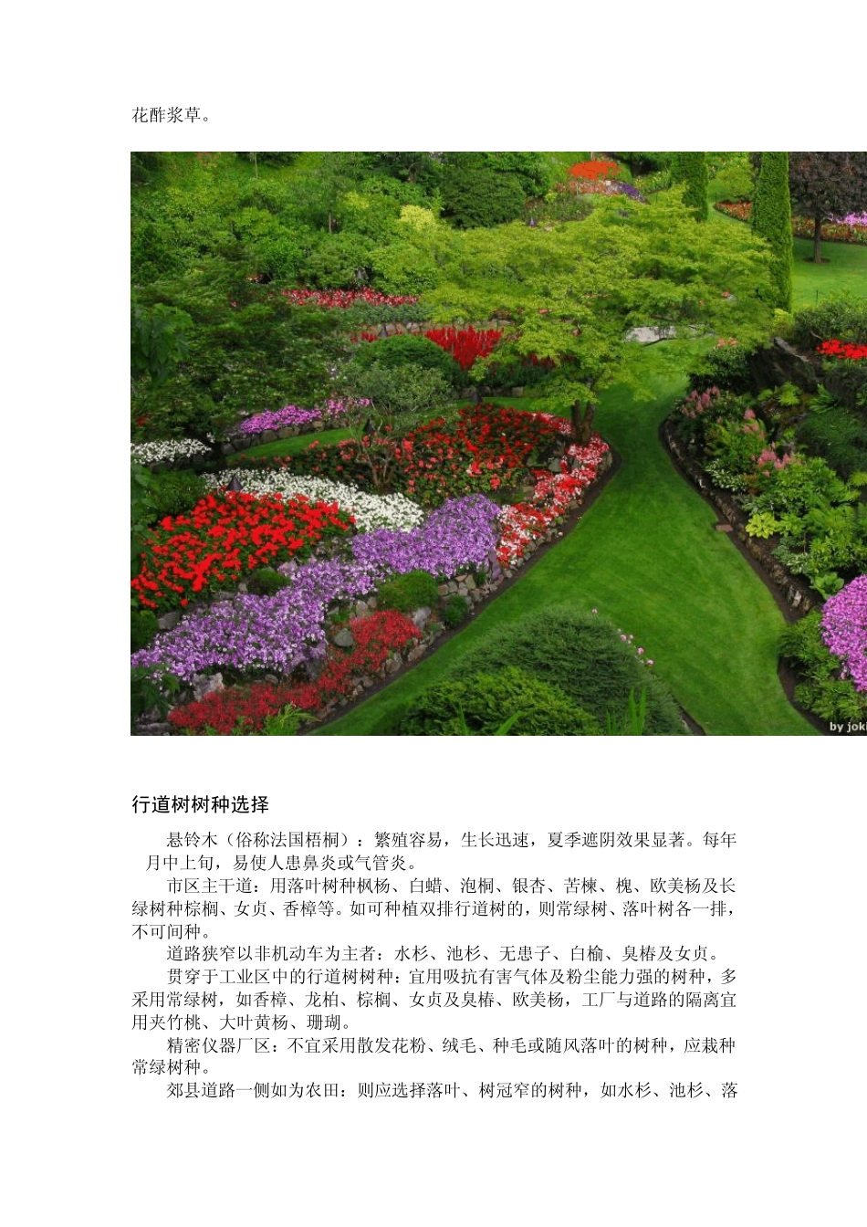 上海植物配置_第3页