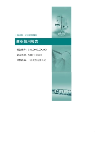 上海资信企业征信报告