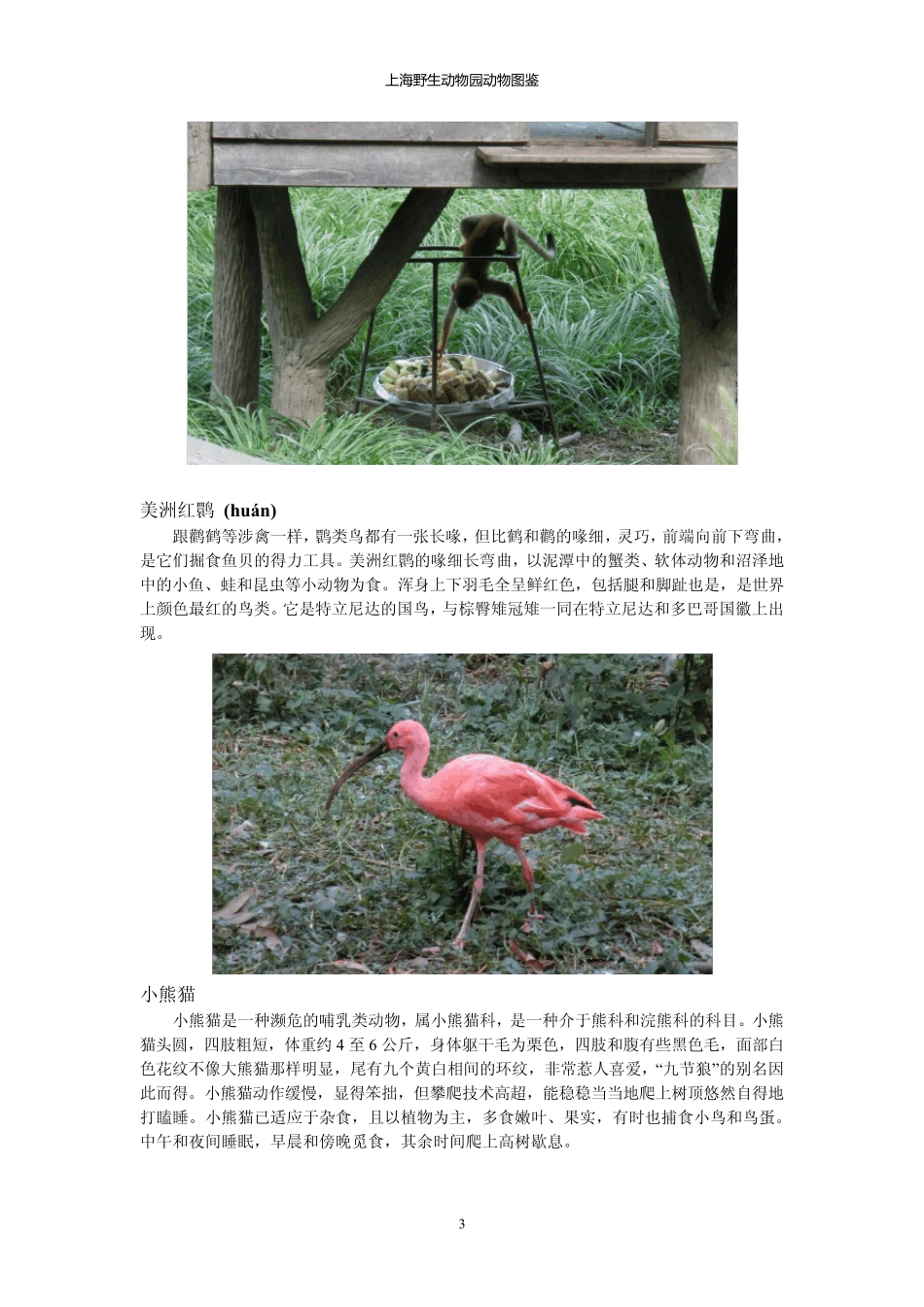 上海野生动物园动物介绍_第3页